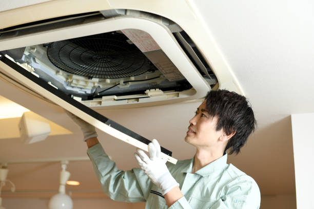 Best Local Air Duct Cleaning Services  in University, FL